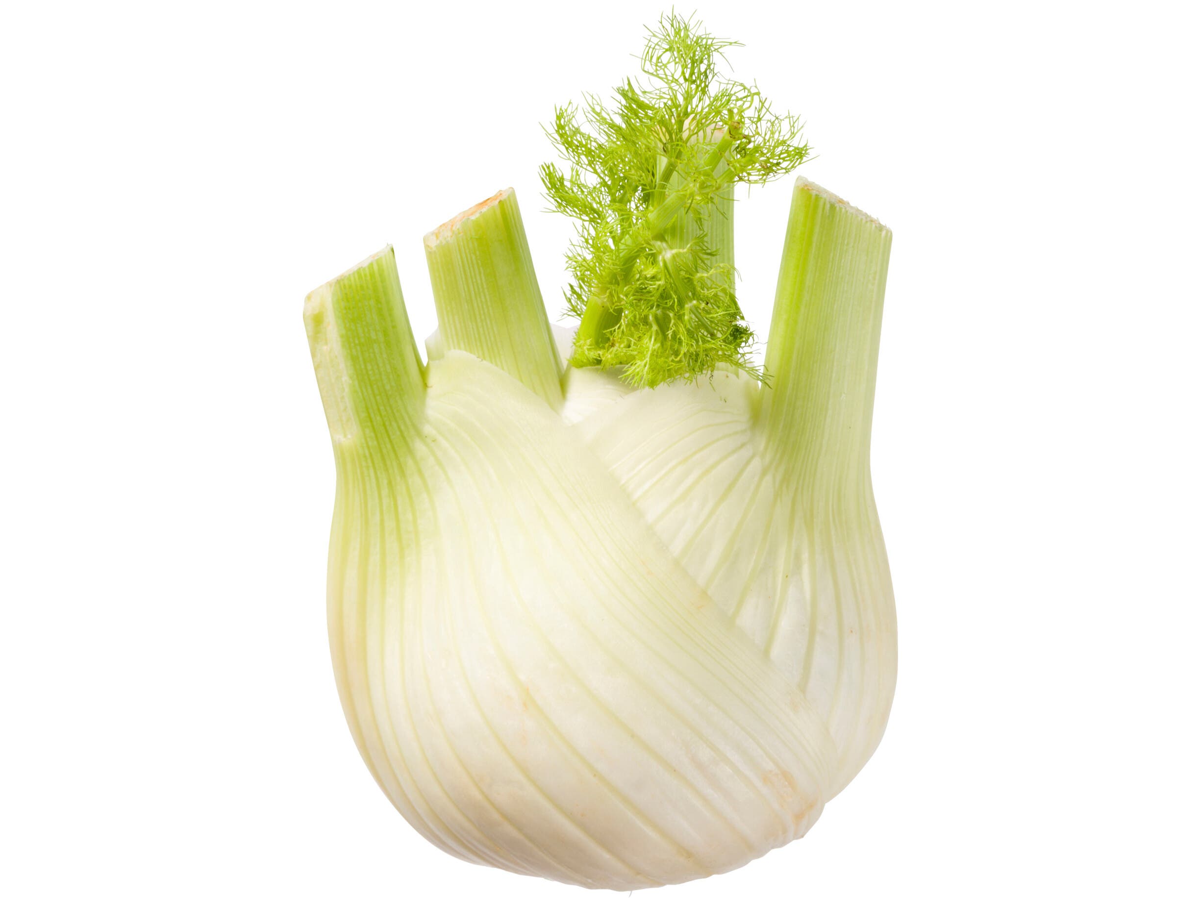 Venkel