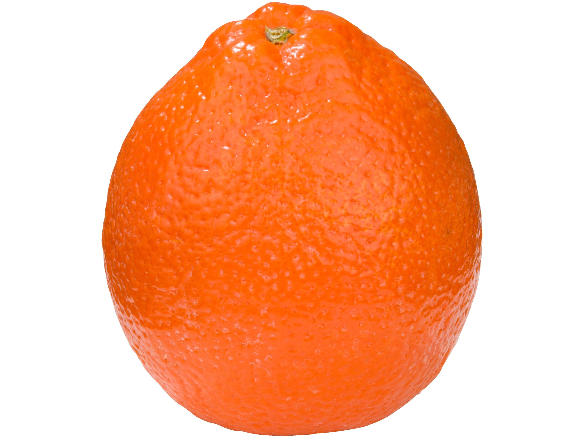 Minneola's