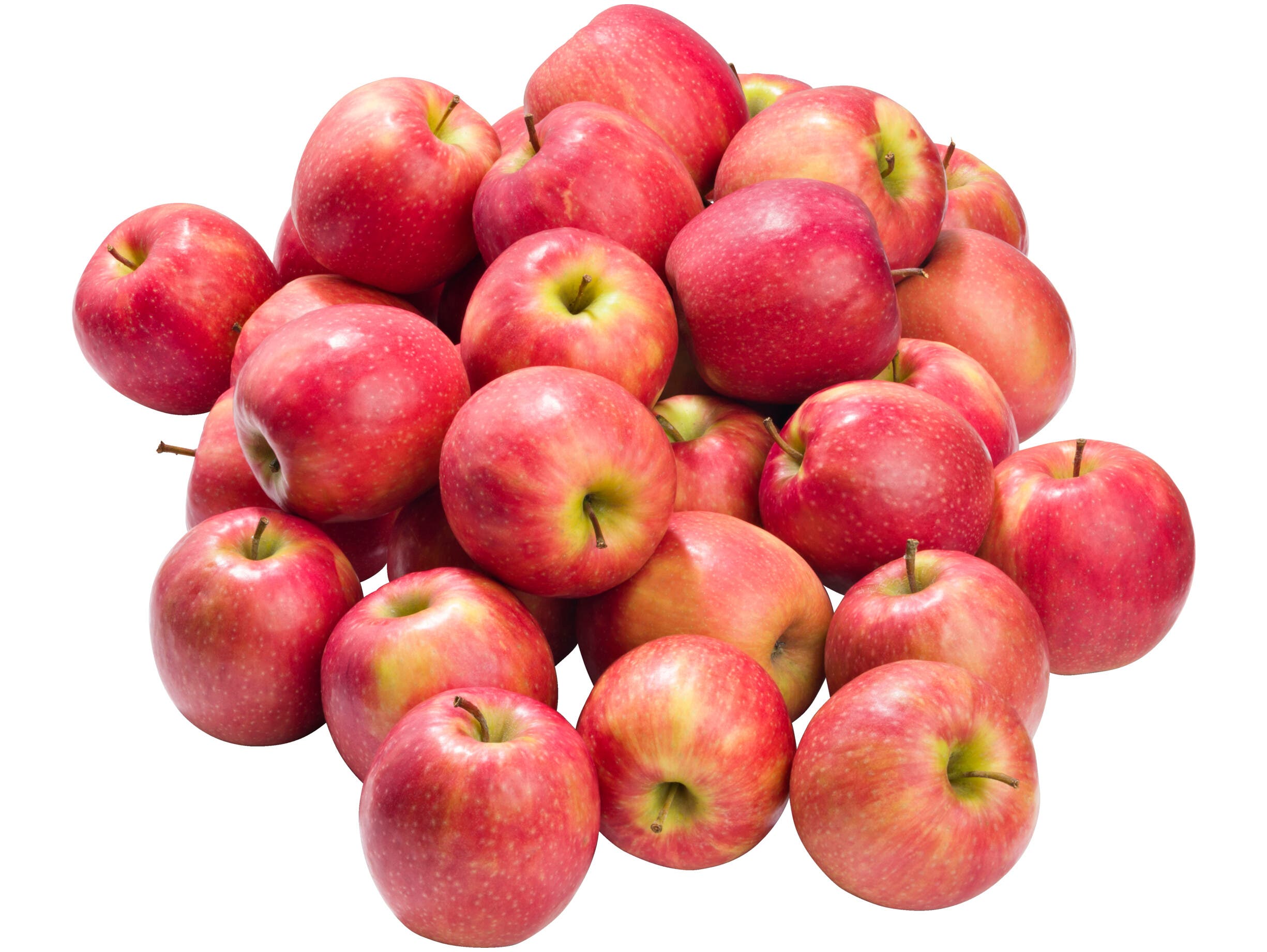 Pink Lady appel