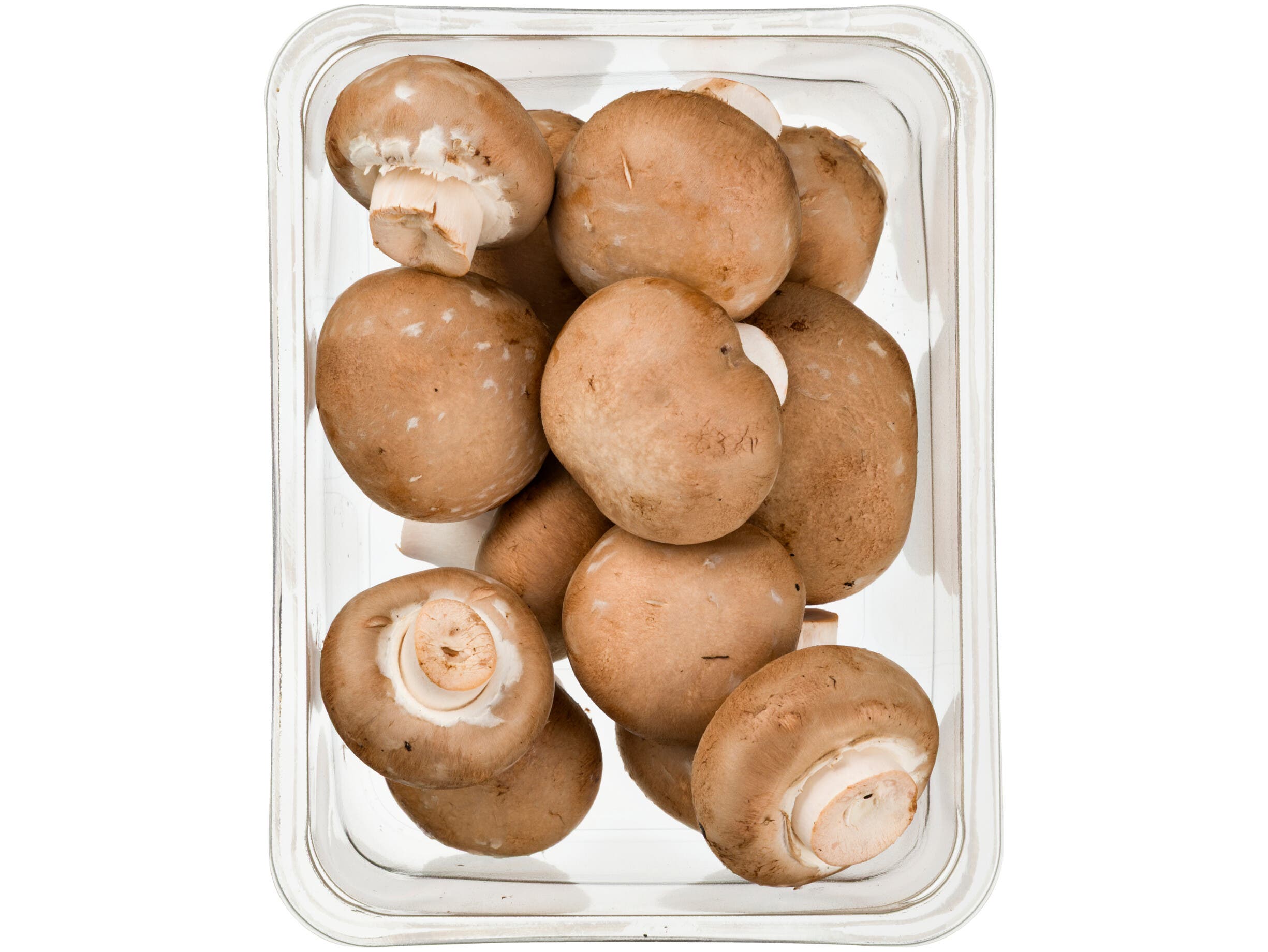 Kastanjechampignons