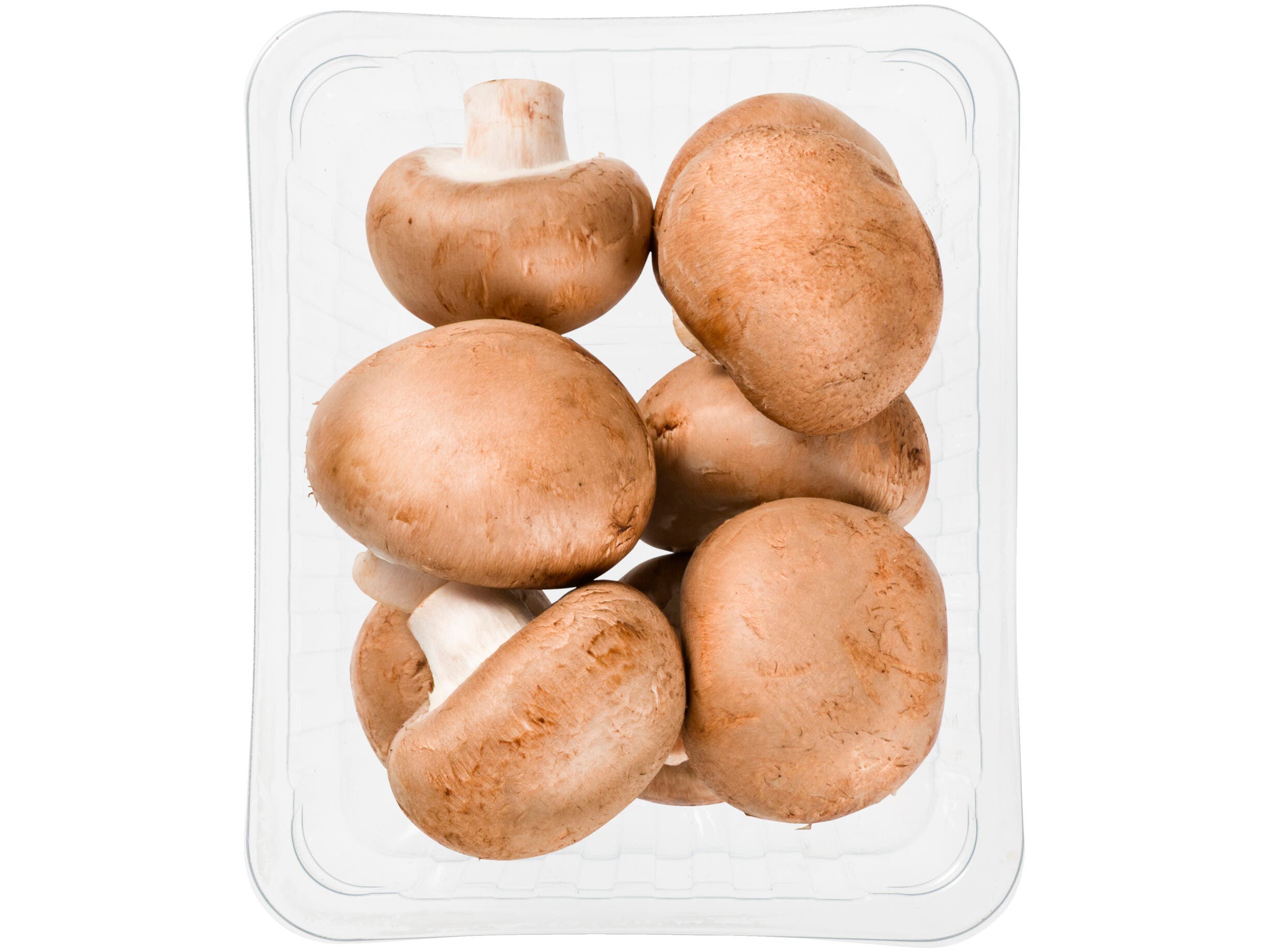 Kastanje Champignons