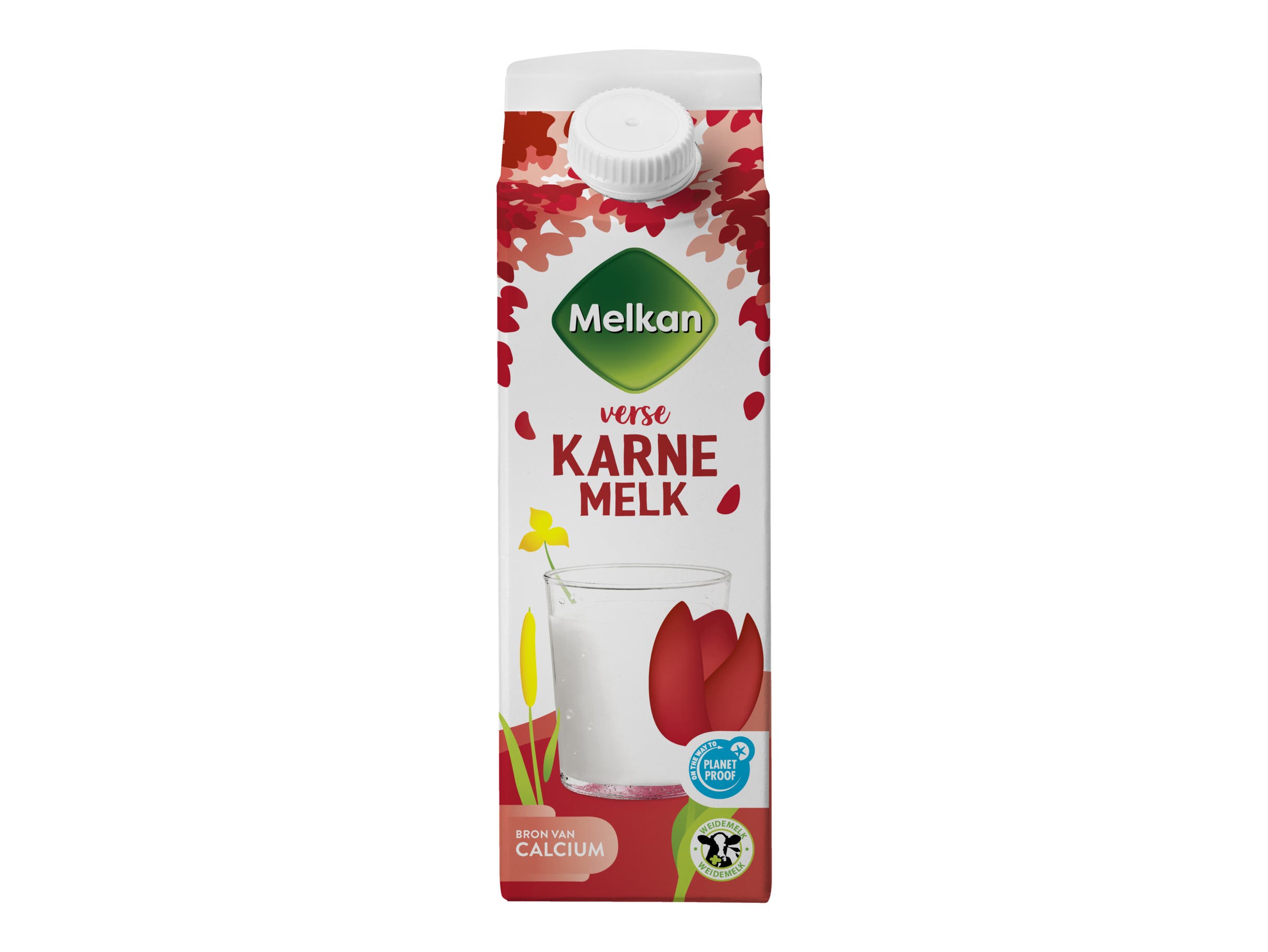 Verse karnemelk