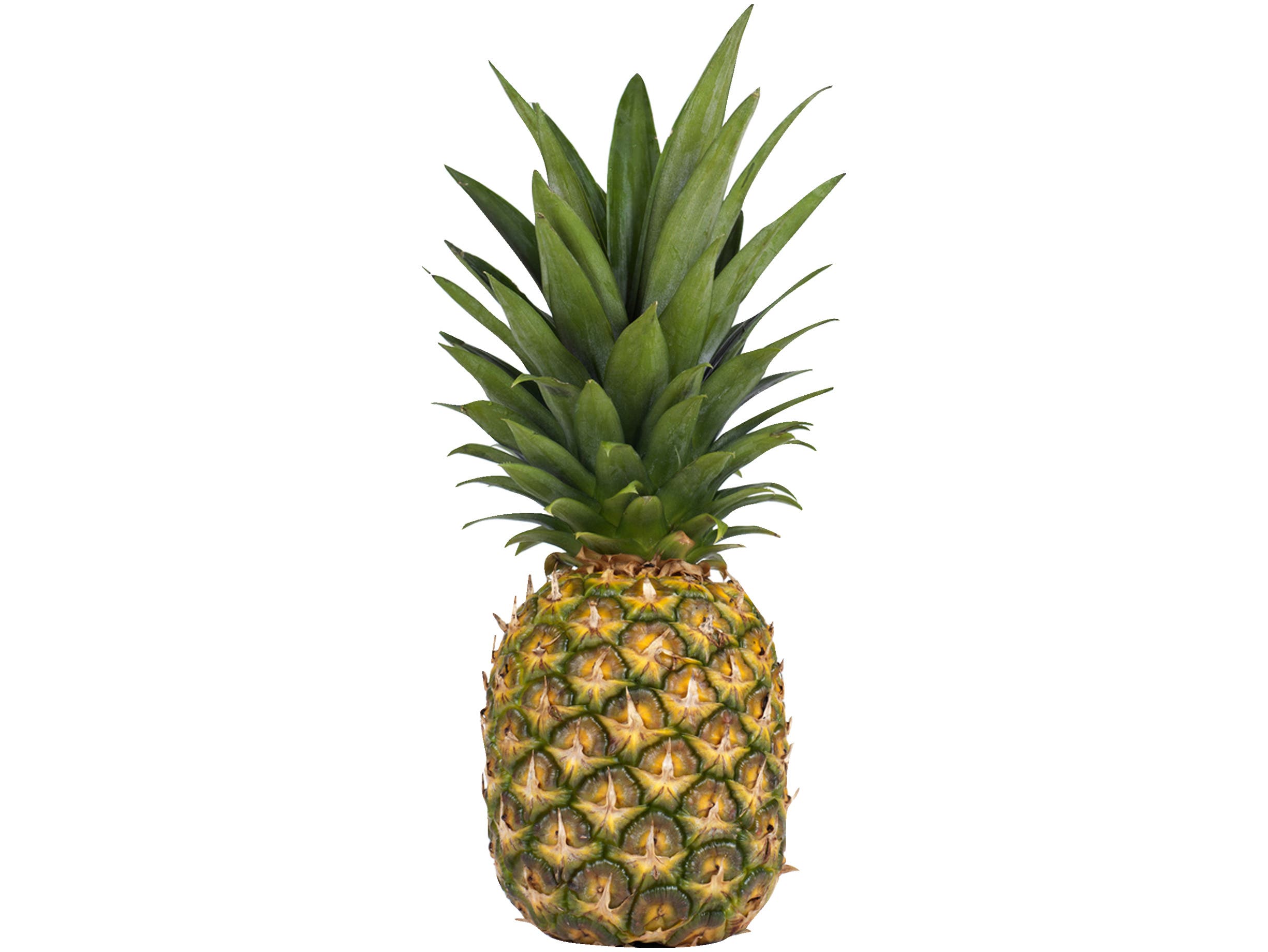 Ananas
