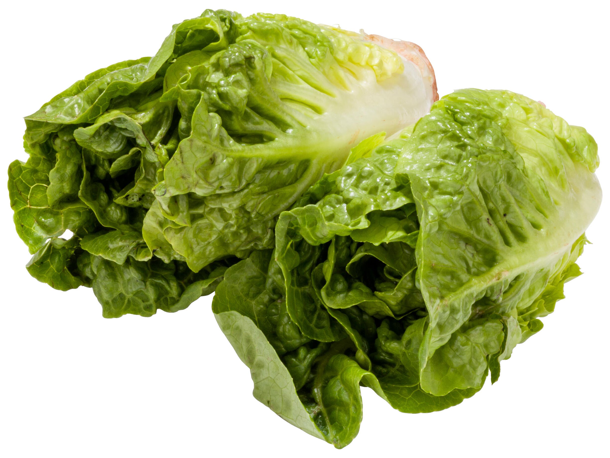 Romaine sla