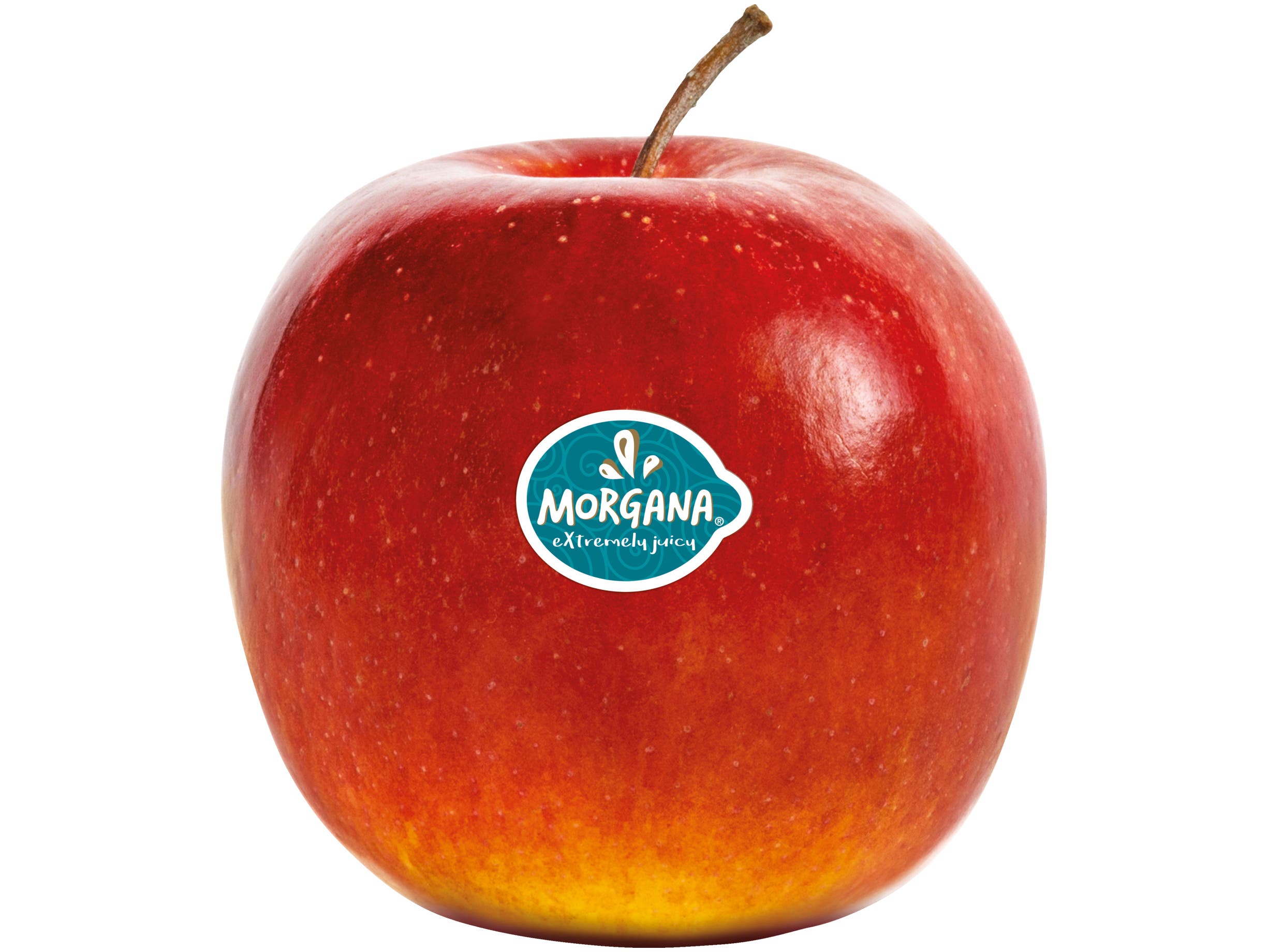 Morgana appels